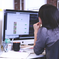 Entrepreneur expérimenté en activité
